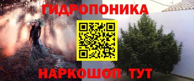 spice Гусев