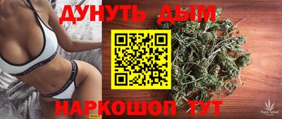 spice Гусев