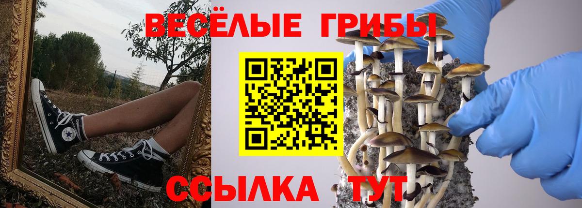 Галлюциногенные грибы Psilocybe Нижневартовск