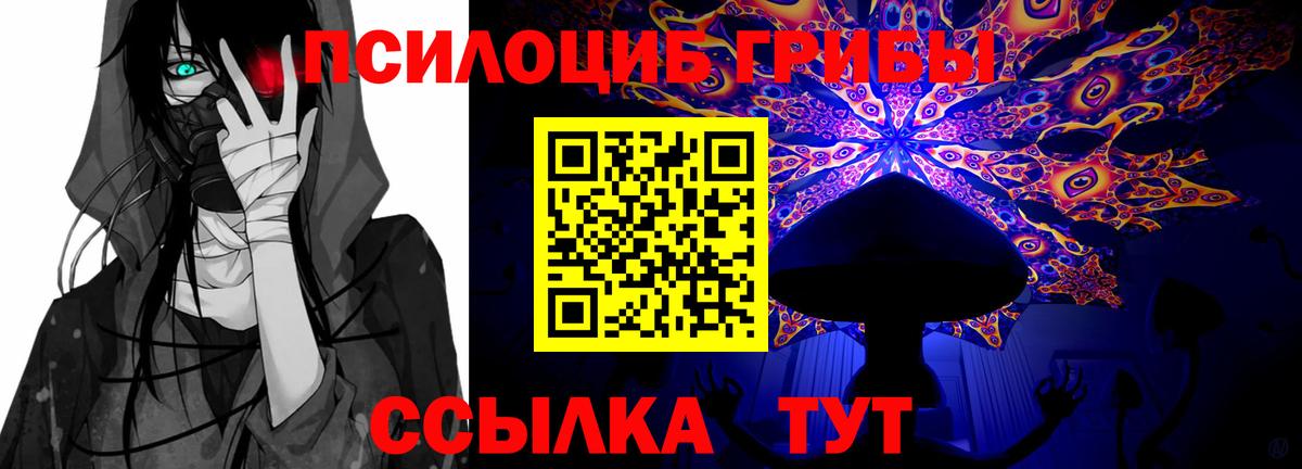 закладка  Галлюциногенные грибы мицелий  Галлюциногенные грибы Psilocybine cubensis  Вход с VPN  Нижневартовск 